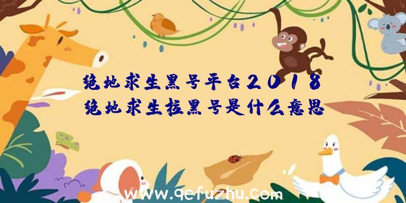 「绝地求生黑号平台2018」|绝地求生拉黑号是什么意思